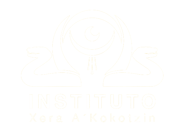 Instituto Xera Akokotzin